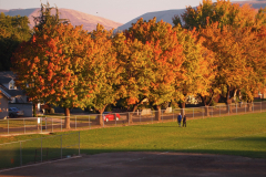 Franklin Park fall colors